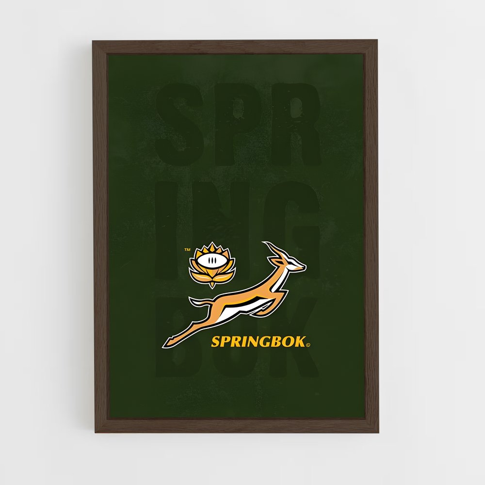 Poster Springboks Spirit – affiche Rugby (vue 5)